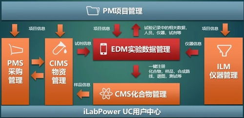 揭秘 学术圈的不安全感源头